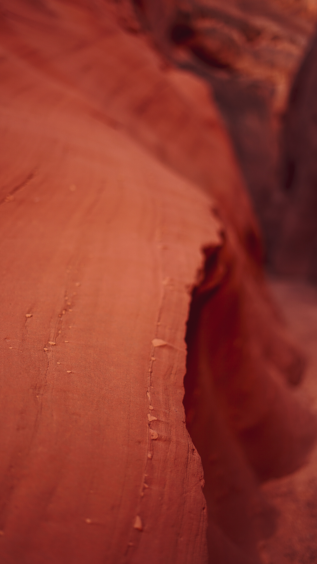 Color Strata — Sediment Spectrum I