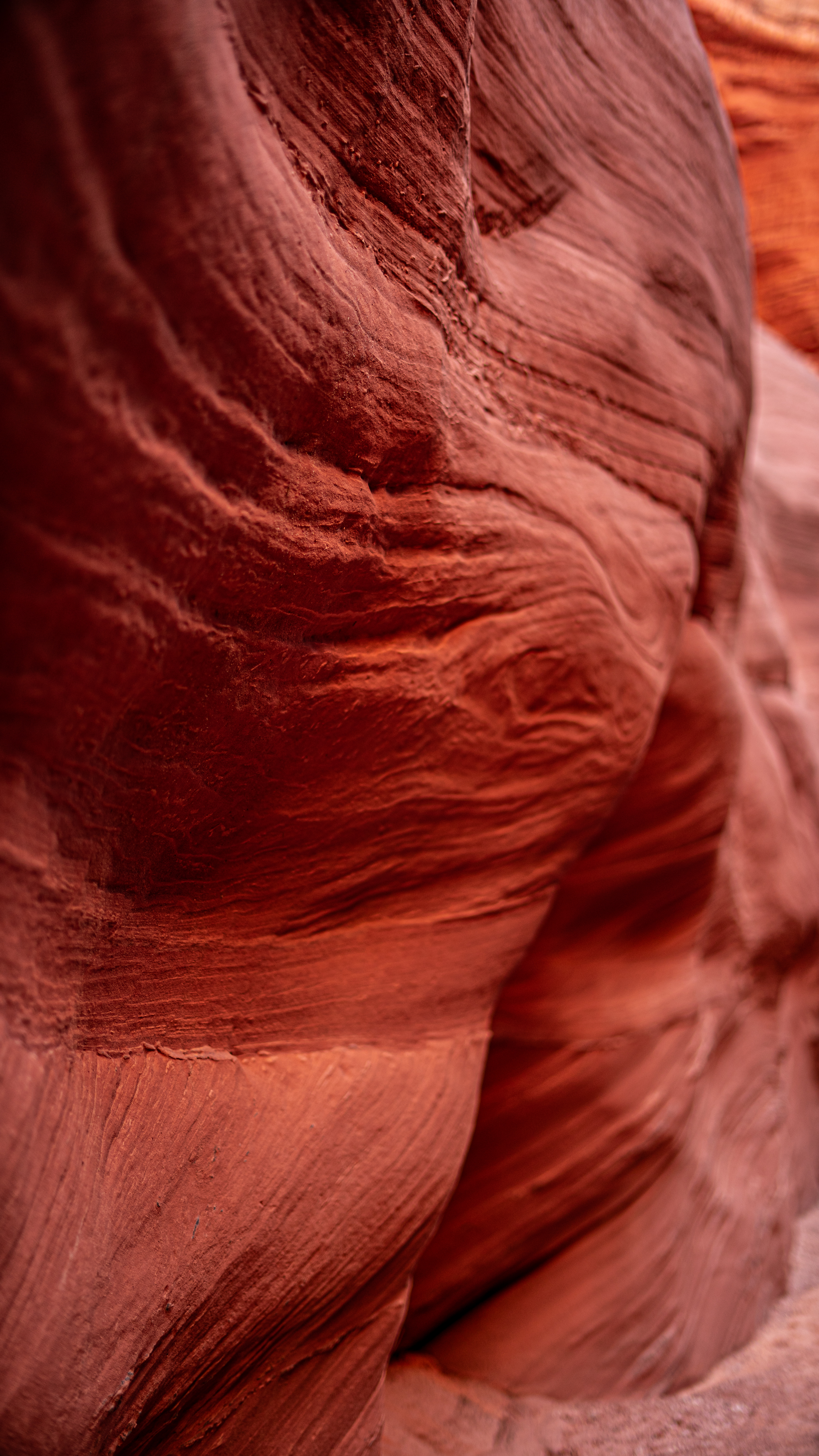 Color Strata — Mineral Field I